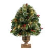 3' Pre-Lit Frosted Pine Artificial Outdoor Christmas Tree, Warm Clear LED Lights 1 3' Pre-Lit Frosted Pine Artificial Outdoor Christmas Tree, Warm Clear LED Lights -Christmas Decoration Store dnnl20p1811 1 61292.1681393604