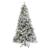 5' Pre-Lit Flocked Vermont Pine Artificial Christmas Tree, Warm Clear LED Lights 2 5' Pre-Lit Flocked Vermont Pine Artificial Christmas Tree, Warm Clear LED Lights -Christmas Decoration Store dnnl20t1799 1 99185.1667528941