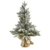 2' Potted Flocked Artificial Christmas Tree With Pinecones, Unlit 2 2' Potted Flocked Artificial Christmas Tree With Pinecones, Unlit -Christmas Decoration Store dnnl20t1986 1 74226.1681393424