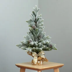 2' Potted Flocked Artificial Christmas Tree With Pinecones, Unlit 12 2' Potted Flocked Artificial Christmas Tree With Pinecones, Unlit -Christmas Decoration Store dnnl20t1986 4 40791.1681393425