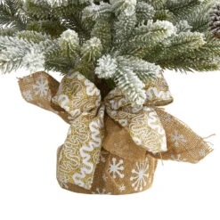 2' Potted Flocked Artificial Christmas Tree With Pinecones, Unlit 14 2' Potted Flocked Artificial Christmas Tree With Pinecones, Unlit -Christmas Decoration Store dnnl20t1986 6 52994.1681393426
