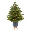 3.5’ Pre-Lit Potted North Carolina Fir Artificial Christmas Tree, Clear Lights 2 3.5’ Pre-Lit Potted North Carolina Fir Artificial Christmas Tree, Clear Lights -Christmas Decoration Store dnnl20t2325 1 33961.1680571144