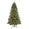 7.5' Pre-Lit Medium Frosted Boulder Pine Artificial Christmas Tree, Clear Lights 1 7.5' Pre-Lit Medium Frosted Boulder Pine Artificial Christmas Tree, Clear Lights -Christmas Decoration Store dpul bpf 75c45 1 23911.1667544807