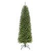 5' Pencil Fraser Fir Artificial Christmas Tree With Stand, Unlit -Christmas Decoration Store dpul ffpt 50 1 59994.1667544821