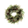 Pre-Lit Green And Red Winter Frost Artificial Christmas Wreath, 24-Inch, Clear LED Lights 1 Pre-Lit Green And Red Winter Frost Artificial Christmas Wreath, 24-Inch, Clear LED Lights -Christmas Decoration Store dvlc20v 20678 lt 1 66166.1668074523