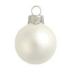 28ct Matte Fish Silver Glass Ball Christmas Ornaments 2" (50mm) 1 28ct Matte Fish Silver Glass Ball Christmas Ornaments 2" (50mm) -Christmas Decoration Store dwhi 27892 1 60431.1667684634