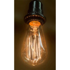 2" X 5" Clear Glass Chelsea Incandescent Edison Bulb