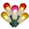 10-Count Summer Sunset Ombre Transparent ST40 Edison Christmas Light Set, 9ft Green Wire 1 10-Count Summer Sunset Ombre Transparent ST40 Edison Christmas Light Set, 9ft Green Wire -Christmas Decoration Store dwnfwetm0sjpjb31alomdgrqqjaeoytk 53789.1667664518