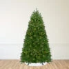 14' Pre-Lit Full Northern Pine Artificial Christmas Tree - Clear Lights 2 14' Pre-Lit Full Northern Pine Artificial Christmas Tree - Clear Lights -Christmas Decoration Store e4kk19esp7x7vu6fttgleshikitzlddy 86693.1667488678