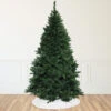 12' Full Buffalo Fir Artificial Christmas Tree - Unlit 2 12' Full Buffalo Fir Artificial Christmas Tree - Unlit -Christmas Decoration Store exawq5ej4h7onv9jd0y43zb2maezfhwz 81788.1683123673