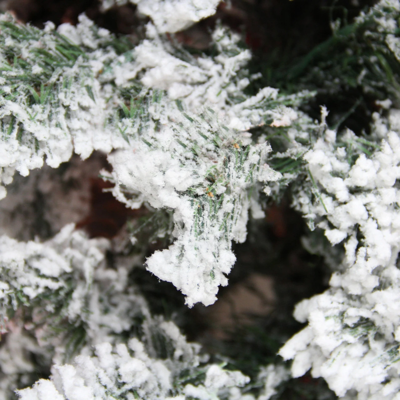 4.5' Heavily Flocked Pine Medium Artificial Christmas Tree - Unlit 4 4.5' Heavily Flocked Pine Medium Artificial Christmas Tree - Unlit - Image 2