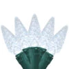 35 Battery Operated White Faceted LED C6 Christmas Lights - 11 Ft Green Wire 1 35 Battery Operated White Faceted LED C6 Christmas Lights - 11 Ft Green Wire -Christmas Decoration Store fbfzhlnvql53ap9k7i68dcxmocvvuokq 32284.1667660043