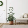 4.5' Noble Fir Layered Artificial Christmas Tree, Unlit 1 4.5' Noble Fir Layered Artificial Christmas Tree, Unlit -Christmas Decoration Store fexrsvwocdeztxwa324ffsymrurujdgq 26315.1683644883