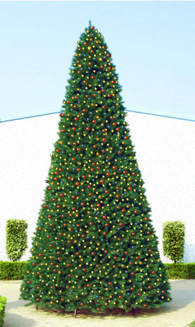 20' Pre-Lit Everest Fir Commercial Tower Christmas Tree - Multicolor C7 LED Lights 4 20' Pre-Lit Everest Fir Commercial Tower Christmas Tree - Multicolor C7 LED Lights - Image 2