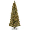 7’ Pre-Lit Glittering Pine Artificial Christmas Tree - Clear Lights -Christmas Decoration Store gb3 377p 70x 96177.1667573366