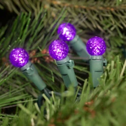 50 Count Purple LED G12 Berry Christmas Lights, 15.9 Ft Green Wire 7 50 Count Purple LED G12 Berry Christmas Lights, 15.9 Ft Green Wire -Christmas Decoration Store green20plug 32467.1667534332