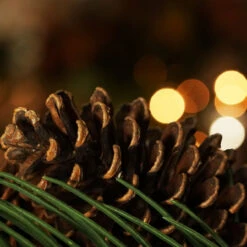 Long Pine Needle Artificial Christmas Wreath - 30-Inch, Unlit -Christmas Decoration Store gzd2rrk6f1dvywjlxqdif1osocibvefj 27267.1667530756