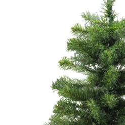 2' Medium Canadian Pine Artificial Christmas Tree - Unlit -Christmas Decoration Store j4dqfq8mnros6hr5k49xrbsc8kh2a3yo 22939.1667575617