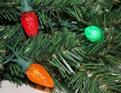 20' Pre-Lit Everest Fir Commercial Tower Christmas Tree - Multicolor C7 LED Lights 8 20' Pre-Lit Everest Fir Commercial Tower Christmas Tree - Multicolor C7 LED Lights -Christmas Decoration Store k3uhzdtonectf1jcp0hgrbsfk5qcrgou 10748.1680153245