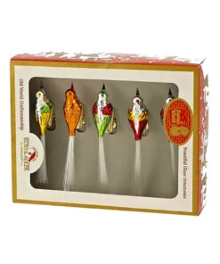 Club Pack Of 6 4.5"H Early Years Glass 5 Piece Clip-on Bird Christmas Ornaments