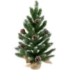 24" Frosted Norway Pine With Pine Cones Medium Artificial Christmas Tree, Unlit 2 24" Frosted Norway Pine With Pine Cones Medium Artificial Christmas Tree, Unlit -Christmas Decoration Store l2hknhlwv7g6dn1utzbpuhnvfpbnutuy 59591.1684955882