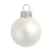 Matte Silver Glass Ball Christmas Ornament 7" (177mm) 1 Matte Silver Glass Ball Christmas Ornament 7" (177mm) -Christmas Decoration Store lflzu4ukamncwdasagffjlrnaa30abqp 32594.1667684722