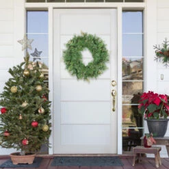 Mixed Pine And Glittered Berry Artificial Christmas Wreath - 24-Inch, Unlit