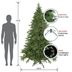 7.5' Pre-Lit Birch River Fir Artificial Christmas Tree, Candlelight Clear Lights 10 7.5' Pre-Lit Birch River Fir Artificial Christmas Tree, Candlelight Clear Lights -Christmas Decoration Store northlight20sm92997 81749.1667535769