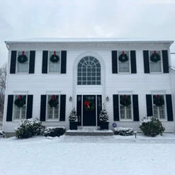 Lush Mixed Pine Artificial Christmas Wreath, 24-Inch, Unlit 12 Lush Mixed Pine Artificial Christmas Wreath, 24-Inch, Unlit -Christmas Decoration Store northlight20v03944 cxpic 11227.1676391835