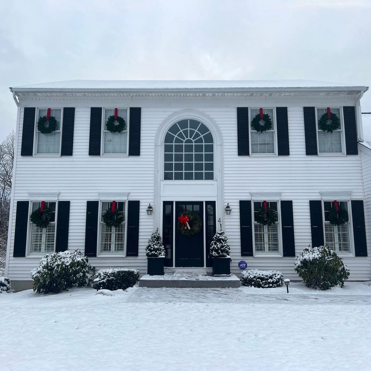 Lush Mixed Pine Artificial Christmas Wreath, 24-Inch, Unlit 7 Lush Mixed Pine Artificial Christmas Wreath, 24-Inch, Unlit - Image 5