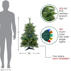 3' X 29 Pre-Lit Ashcroft Cashmere Pine Full Artificial Christmas Tree - Multi LED Lights -Christmas Decoration Store northlight20z98717 info 99616.1667327471