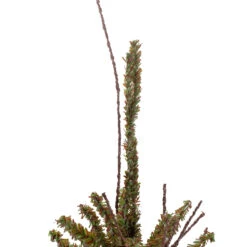 2.5' Green And Brown Warsaw Twig Artificial Christmas Tree With Burlap Base - Unlit -Christmas Decoration Store northlight b03910 1 48973.1667575946