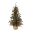 2.5' Pre-Lit Warsaw Two-Tone Twig Artificial Christmas Tree - Clear Lights 1 2.5' Pre-Lit Warsaw Two-Tone Twig Artificial Christmas Tree - Clear Lights -Christmas Decoration Store northlight b03911 37002.1667663638
