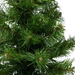 18" Medium Blackwater Fir Artificial Christmas Tree - Unlit 9 18" Medium Blackwater Fir Artificial Christmas Tree - Unlit -Christmas Decoration Store northlight b83529 1 98723.1667530758