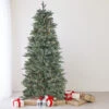 6.5' Pre-Lit Slim Washington Frasier Fir Artificial Christmas Tree - Clear Lights 2 6.5' Pre-Lit Slim Washington Frasier Fir Artificial Christmas Tree - Clear Lights -Christmas Decoration Store northlight b84774 34293.1667536737