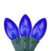 25 Blue Transparent C9 Christmas Lights - 24 Ft Green Wire 2 25 Blue Transparent C9 Christmas Lights - 24 Ft Green Wire -Christmas Decoration Store northlight c42g8411 1 87781.1667663001