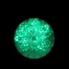 6" LED Lighted Green Crystal Sphere Outdoor Christmas Decoration 2 6" LED Lighted Green Crystal Sphere Outdoor Christmas Decoration -Christmas Decoration Store northlight ct52 794 066 34878.1667531700
