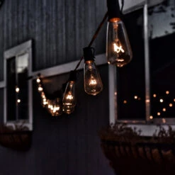 10-Count Clear Transparent Edison Patio Light Set, 9ft Green Wire