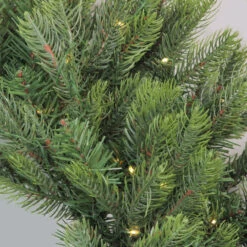 Pre-Lit LED Oregon Noble Fir Artificial Christmas Wreath - 30-Inch, Warm White Lights -Christmas Decoration Store northlight gb15592 2 62724.1667573444