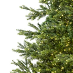 6.5' Pre-Lit Full Oregon Noble Fir Artificial Christmas Tree - Warm White LED Lights 13 6.5' Pre-Lit Full Oregon Noble Fir Artificial Christmas Tree - Warm White LED Lights -Christmas Decoration Store northlight gb516800438 3 updated 98409.1667536344