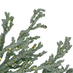 20" Green Glittered Artificial Coral ChristmasWreath 7 20" Green Glittered Artificial Coral ChristmasWreath -Christmas Decoration Store northlight gb90530 2 72672.1667531226