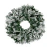 Pre-Lit Flocked Winfield Fir Artificial Christmas Wreath - 24-Inch, Warm White LED Lights -Christmas Decoration Store northlight hb27068 41062.1667659323