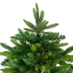 6.5' Full Gunnison Pine Artificial Christmas Tree - Unlit 11 6.5' Full Gunnison Pine Artificial Christmas Tree - Unlit -Christmas Decoration Store northlight hb27086 2 65755.1667572641