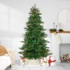 7.5' Pre-Lit Hudson Fir Artificial Christmas Tree, Warm White LED Lights 1 7.5' Pre-Lit Hudson Fir Artificial Christmas Tree, Warm White LED Lights -Christmas Decoration Store northlight hb92572 1 49696.1667663809