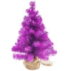 17.5" Boysenberry Purple Pine Tree In Natural Jute Base Christmas Decoration 1 17.5" Boysenberry Purple Pine Tree In Natural Jute Base Christmas Decoration -Christmas Decoration Store northlight hn92719 1 pre20list 59501.1667530236