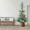 9' Pre-Lit Nordmann Fir Artificial Christmas Tree - Warm Clear LED Lights 1 9' Pre-Lit Nordmann Fir Artificial Christmas Tree - Warm Clear LED Lights -Christmas Decoration Store northlight j00085 1 72526.1667536348