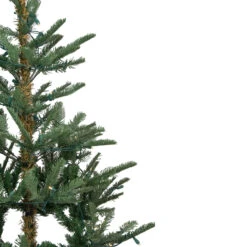 9' Pre-Lit Nordmann Fir Artificial Christmas Tree - Warm Clear LED Lights 8 9' Pre-Lit Nordmann Fir Artificial Christmas Tree - Warm Clear LED Lights -Christmas Decoration Store northlight j00085 3 56643.1667536349