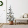 4.5' Pre-Lit Noble Fir Artificial Christmas Tree, Warm Clear LED Lights -Christmas Decoration Store northlight j00093 41616.1683644883