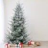 7.5' Flocked Little River Fir Artificial Christmas Tree - Unlit 2 7.5' Flocked Little River Fir Artificial Christmas Tree - Unlit -Christmas Decoration Store northlight lt91586updated 18126.1667573177