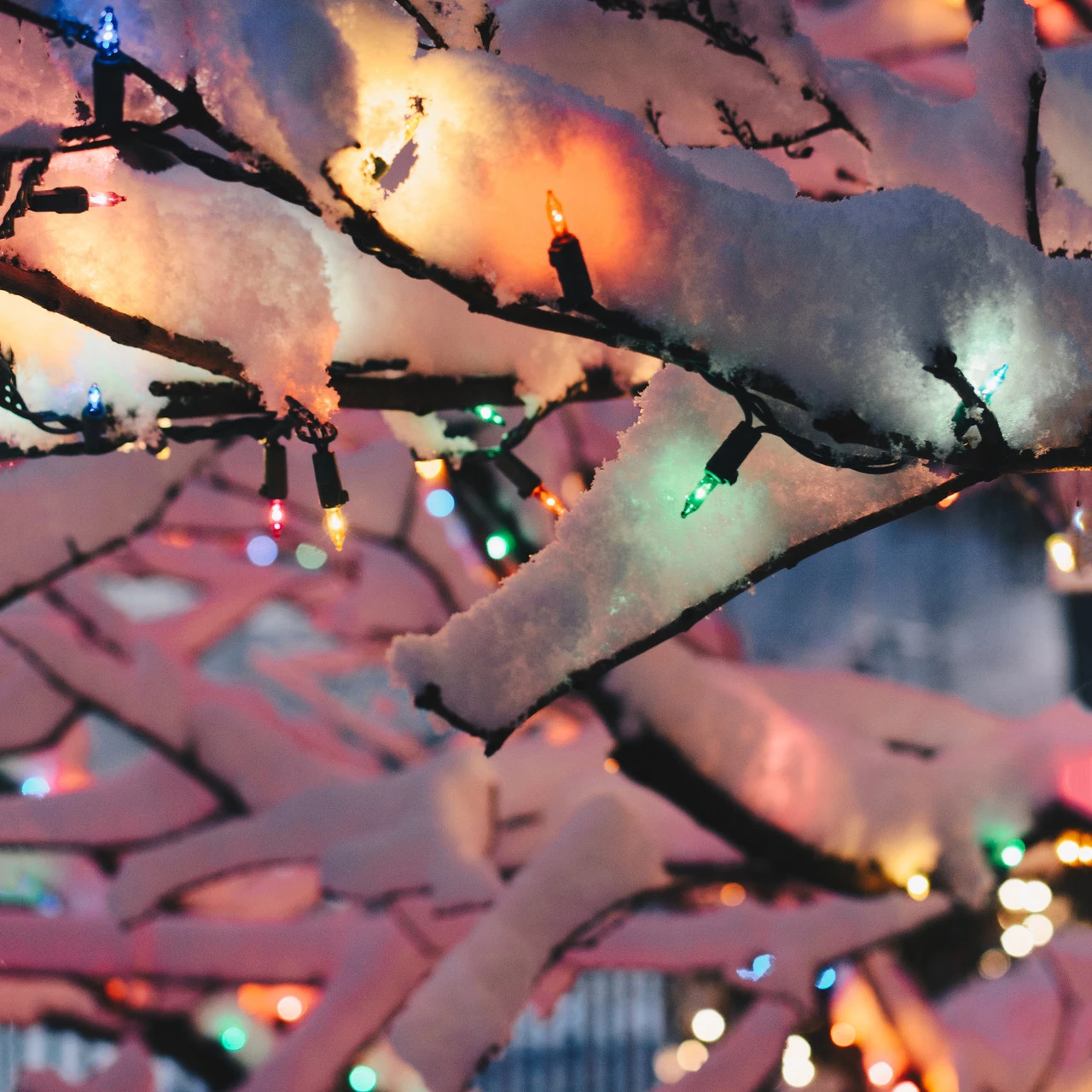 100-Count Multi-Color Mini Christmas Light Set, 20.25ft Green Wire 5 100-Count Multi-Color Mini Christmas Light Set, 20.25ft Green Wire - Image 3